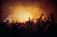 Chart artist concert